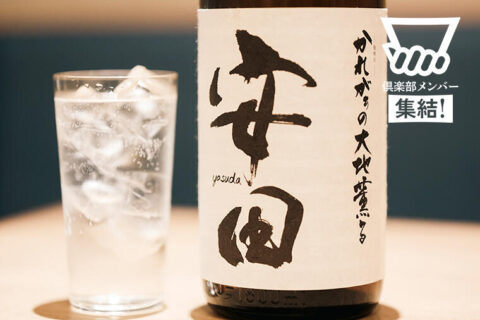 「芋は臭い」イメージを根底から変えた！ソーダ割りでライチ香が華やぐ、香り系焼酎のパイオニア。国分酒造の芋焼酎「安田」／「dancyu焼酎クロニクル＠五臓六腑」