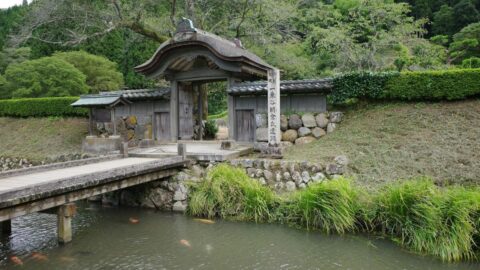 ｢78歳で出陣｣信長の才覚見抜いた朝倉”最強の爺” | 秀吉を天下人にした男、豊臣秀長の実像 | 東洋経済オンライン