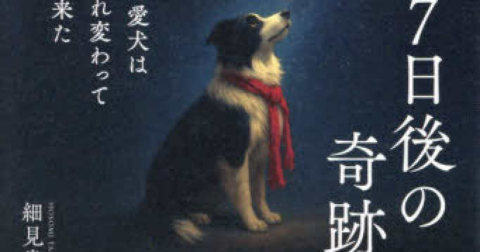 転生した愛犬との再会が伝える宇宙の意思「227日後の奇跡」／ムー民のためのブックガイド