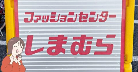 もうポーチいらないかも…！しまむらの「ポケットいっぱいバッグ」収納力が異次元すぎる！お財布がわりにも使えて便利！ – これ、買ってよかった！
