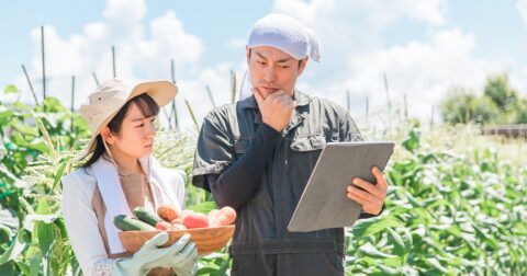 「日本の農業は非効率」「AIやセンサーに置き換えればいい」と叫ぶ人が知らない農業の本質 – ニュースな本