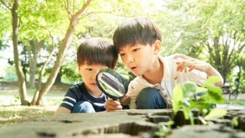 わが子の｢好き｣を後押しする親が目にする光景 | 子育て | 東洋経済オンライン