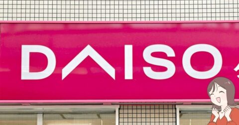 カードや診察券が40枚入った…！ダイソーの「ぺたんこ財布」現金やカードをコンパクトに持ち歩けて嬉しい！ – これ、買ってよかった！