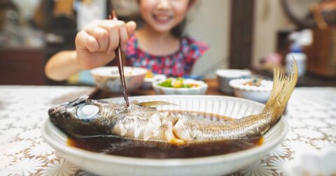 「日本は魚を獲りすぎ」の自虐史観は的ハズレ！元水産庁職員の解説にぐうの音も出ない – ニュースな本