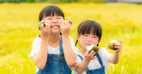 「コメ関税撤廃はアメリカの言いなり」論の大きな誤解 – ニュースな本
