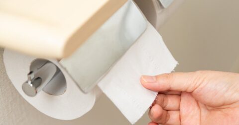 ちょっと何言ってるかわからない…「結婚はトイレットペーパー」バッタ博士の独自理論 – ニュースな本