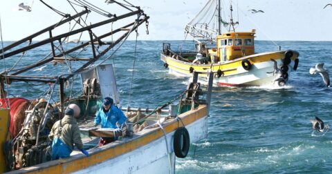 「日本は獲れた魚を大量に捨てる国」の大誤解、国連専門機関の報告に感じる「強い違和感」 – ニュースな本