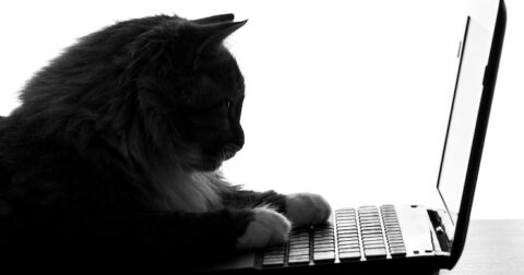 妖しい魅力の源泉に迫る！ ムー的「猫」クイズ