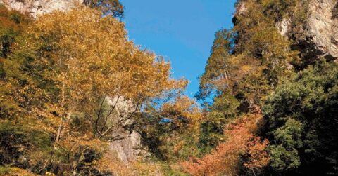 神に引き裂かれた２億5000万年前の岩盤が聖地に！　東京都檜原村・神戸岩／日本不思議再興計画