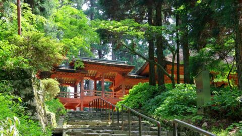 ｢浅井･朝倉に加担した人々を虐殺｣比叡山延暦寺焼き討ちで信長の暴挙に加担した明智光秀”裏の顔” | キャリア・教育 | 東洋経済オンライン