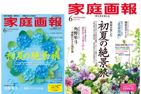 【5/1発売】『家庭画報』　2026年6月号　新緑を楽しむ 初夏の絶景旅／進み続けるピアニスト 角野隼斗