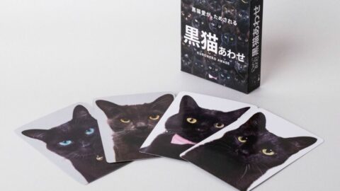 ｢愛があればわかる！｣ポメラニアンや黒猫､生肉､せんべい…”見分けがつかない”神経衰弱系カードゲーム爆売れの訳 | ライフ | 東洋経済オンライン