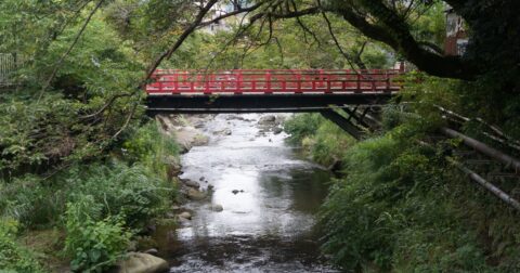 箱根でも熱海でもない…食通が今あえて「湯河原」へ向かう理由 – 日本人の9割は知らない 世界の富裕層は日本で何を食べているのか？