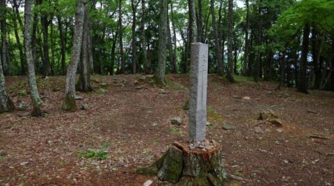 ｢兄者の御運は開けた｣ 小谷城攻めの成功を左右する瞬間､秀吉のもとに駆けつけた小一郎の一言 | キャリア・教育 | 東洋経済オンライン