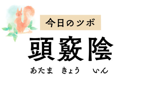 「頭竅陰」は頭痛のほか、めまい、耳鳴り、難聴、耳の痛みなど頭部の不調を治療するツボ