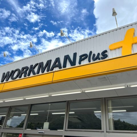 ワークマン3900円以下《機能性シューズ》3足､｢1万円級｣って本当？…”10キロずつ”履いてガチ検証した正直な感想 | ライフ | 東洋経済オンライン
