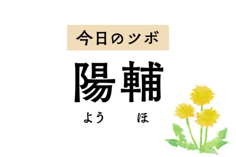 古くから脇の下の痛みに用いる「陽輔」。片頭痛、目尻の痛み、足の外側の痛みにも効く