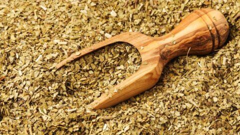 【アラフィフが検証】｢薬草みたいな味｣と最初は絶望も…南米の”飲むサラダ”《マテ茶》を30日飲んだ結果→体に変化が | ライフ | 東洋経済オンライン