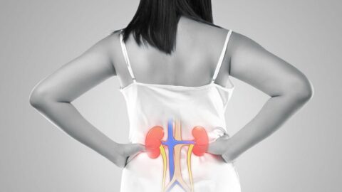 日本の成人の5人に1人が抱える”腎臓病”という国民病の正体　健康診断で”異常なし”でも｢静かに進行している｣怖さ | ライフ | 東洋経済オンライン