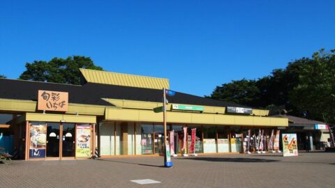 石鎚山､蒜山高原､有磯海…いくつ知ってる？　ユニークな名前の｢サービスエリア／パーキングエリア｣命名の由来は？ | ライフ | 東洋経済オンライン