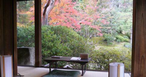 【天才美少年→流刑】日本史上「最も落差が激しい人物」ナンバー1 – 東大教授がおしえる 超！やばい日本史