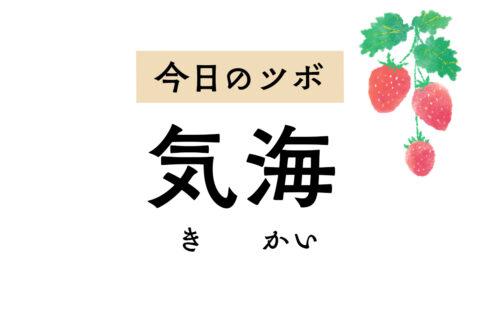 気を補い巡らせる「気海」。月経不順や月経痛、早期閉経など生殖機能に作用します