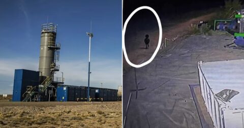 アルゼンチンの油田をさまよう“焼け焦げた赤子”の謎！ 警備員も怯える奇怪な人影