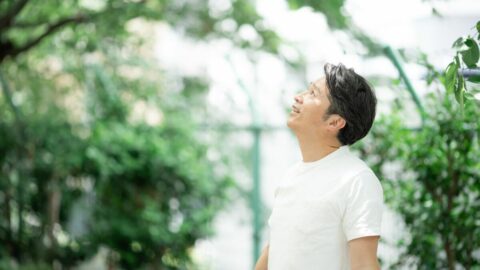 近所に樹木が平均より10本多いだけで､7歳の｢若返り｣に匹敵する効果？ 大規模調査が明かす自然と寿命の意外な関係 | ライフ | 東洋経済オンライン