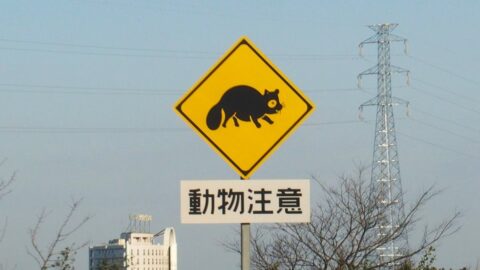 クルマと動物の衝突｢ロードキル｣で考える人間と野生動物が共生する｢高速道路｣の対応策 | ライフ | 東洋経済オンライン