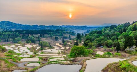 地元からの猛反発も…。なぜ新潟が「世界の食通が注目する美食先進県」になれたのか？ – 日本人の9割は知らない 世界の富裕層は日本で何を食べているのか？