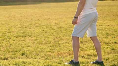 都庁ハーフパンツ論争の核心：｢おじさんいじり｣に飛びつく現代メディアの”キモい”倫理観と周回遅れの感覚 | ライフ | 東洋経済オンライン