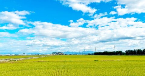 全8皿すべて「米」!? 新潟の田んぼのど真ん中に国際級フレンチがある理由 – 日本人の9割は知らない 世界の富裕層は日本で何を食べているのか？