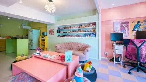 《30代男子の推し活リノベ》築50年･48平米の中古マンションを｢Kawaii空間｣に　ピンク主役の”趣味全開”部屋にSNS15万いいね！ | ライフ | 東洋経済オンライン