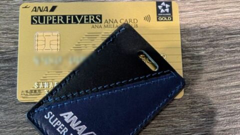 世界一周でANA｢SFC｣得た直後に｢改悪｣？——費用対効果を再考した結論《楽天ブラックとも比較》 | ライフ | 東洋経済オンライン