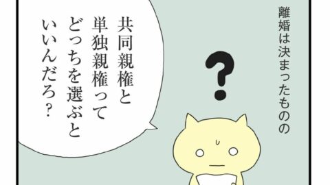 ｢共同親権｣と｢単独親権｣どっちを選ぶ？　DV被害者が離婚調停で”理不尽な合意”に追い込まれる現実　別れても支配が続く例も… | ライフ | 東洋経済オンライン
