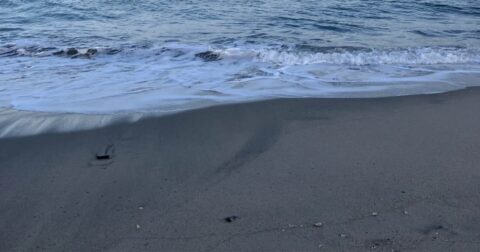 廃止された「辺野古コース」はなぜ復活したのか？ボート事故遺族が指摘「基地反対派の意見のみ」「教育の中立性から乖離」 – 辺野古ボート事故・遺族の声