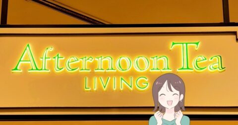 おくすり手帳や処方薬がまるっと入る！アフタヌーンティーの“ポケットたくさん収納”が理想的すぎる！「整理しやすい」「イライラが解消」 – これ、買ってよかった！