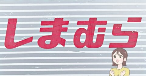 もう普通の財布に戻れない…！しまむらの「手ぶらで持てる財布」サッと会計できるので助かります！《購入レビュー》 – これ、買ってよかった！