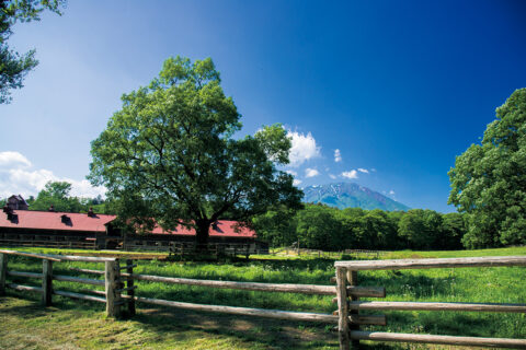 小岩井農場にできた東北の新拠点。Azuma Farm Koiwai（盛岡）