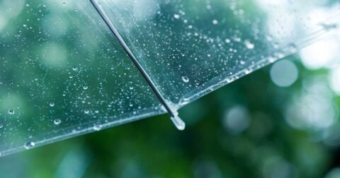 梅雨の時期はどうしたって不快感が増す。では、どうすれば快適に過ごせるのか？ – メンタル養生