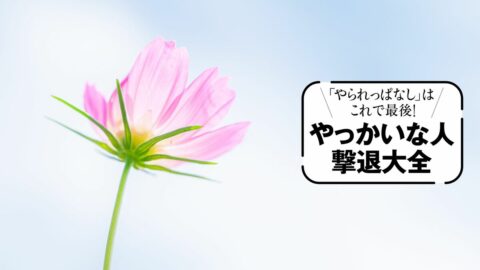 なぜ､あの人と一緒にいると傷つくのか…精神科医が教えるイヤな一言に反応しない技術