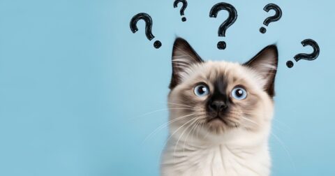 「また仕事のことを考えてる…」休む前にしておきたい小さな工夫 – 体力がすべて