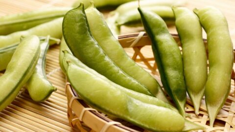 ｢”豆ご飯用の豆”がない？｣関西出身の生活史研究家が東京で気づいた”ご当地食材”の地域差〜47都道府県おいしいもの巡り | ライフ | 東洋経済オンライン