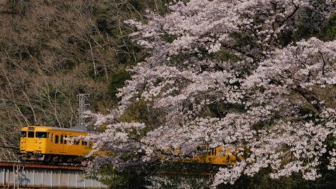 鉄道モーターの保守会社｢異業種｣に見出す活路　JR西系､業界では新参だが｢過酷な環境｣は共通 | ビジネス | 東洋経済オンライン