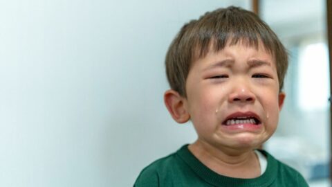 ｢何度言っても聞かない子｣｢あなたはいいわよね｣｢家が散らかってるな｣…伝え方を間違えた”本音がトゲになる”理由 | キャリア・教育 | 東洋経済オンライン