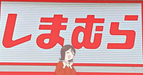 カードや診察券が30枚入った！しまむらの「お財布がいらないミニショルダー」お金やカード、カギをまとめて収納できて天才！ – これ、買ってよかった！