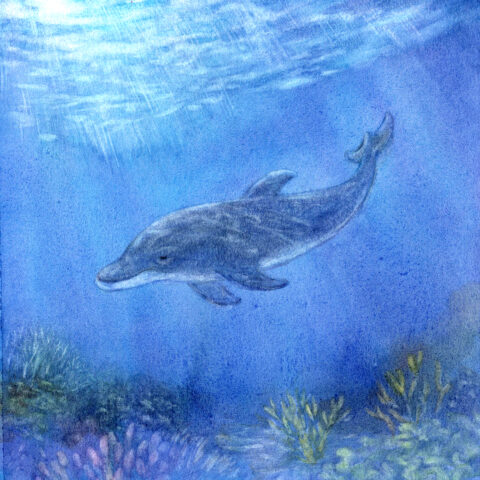 「ふたつの海」小池水音（小説家）