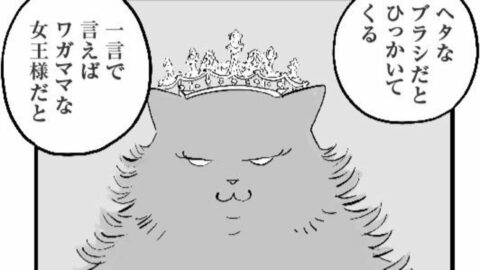 周囲に怖がられる｢飼い主をひっかく猫｣が抱えていた意外な”本音” 漫画｢ひろみ猫シッターサービス｣（第8話） | ライフ | 東洋経済オンライン