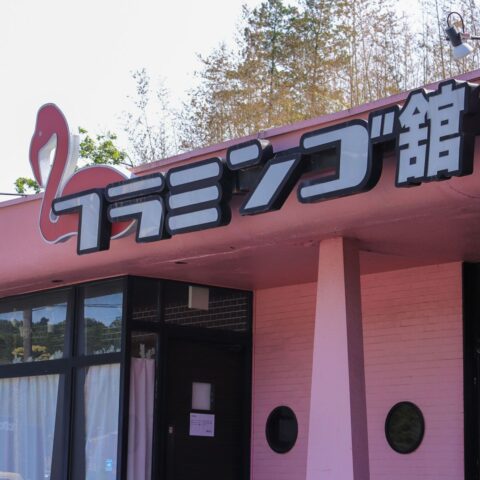 ｢なんでフラミンゴがいるの！？｣地元で50年以上愛される謎ファミレス､名物｢カニピラフ｣を食べながら鳥を眺めた | ライフ | 東洋経済オンライン