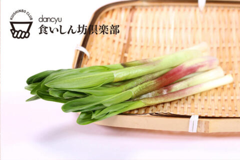 【救急集中治療医は見た！食いしん坊の思わぬ落とし穴②】毒性はなんと青酸カリの1000倍！食いしん坊をうならせるあの自然毒にも改めて要注意！